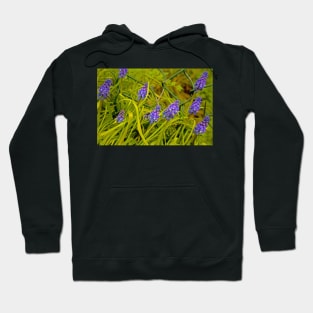 OH MUSCARI ! Hoodie